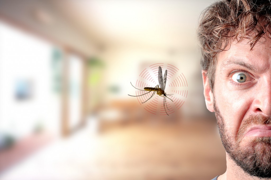 Mosquito-in-ear