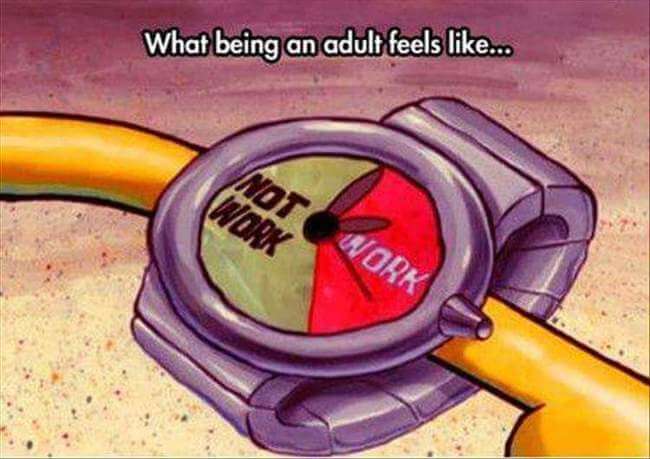 What Being An Adult Feels Like 1