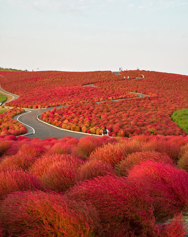 beautiful places in japan 4