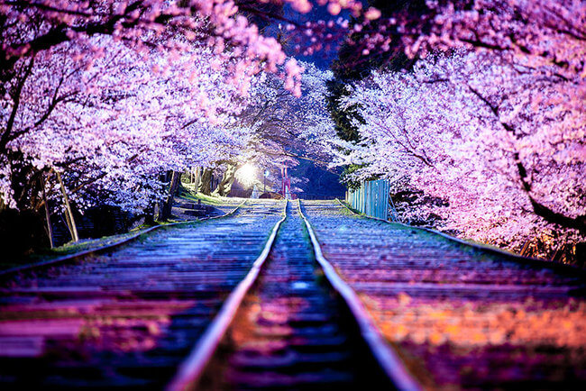 dreamy Places In Japan 17