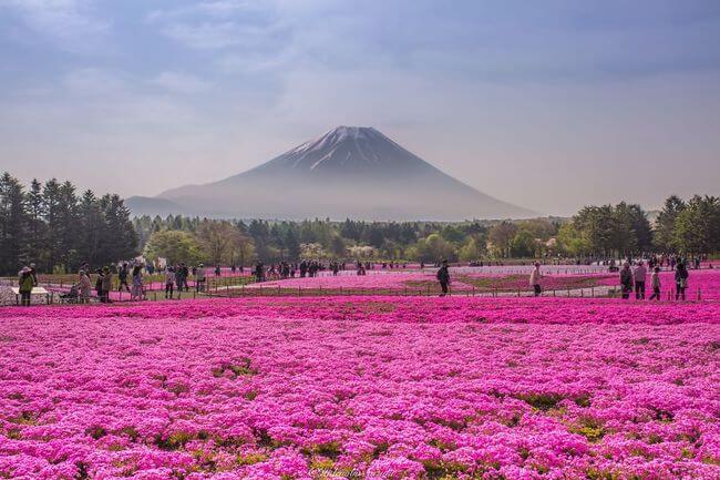 dreamy Places In Japan 3