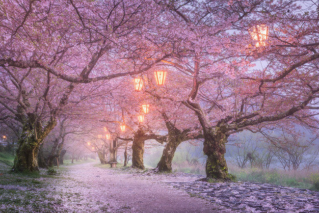 15 Places In Japan That Are So Dreamy You Need To Slap Yourself To Make