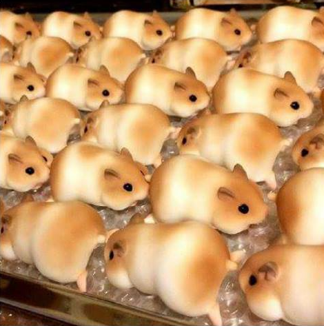 bread hamsters 3