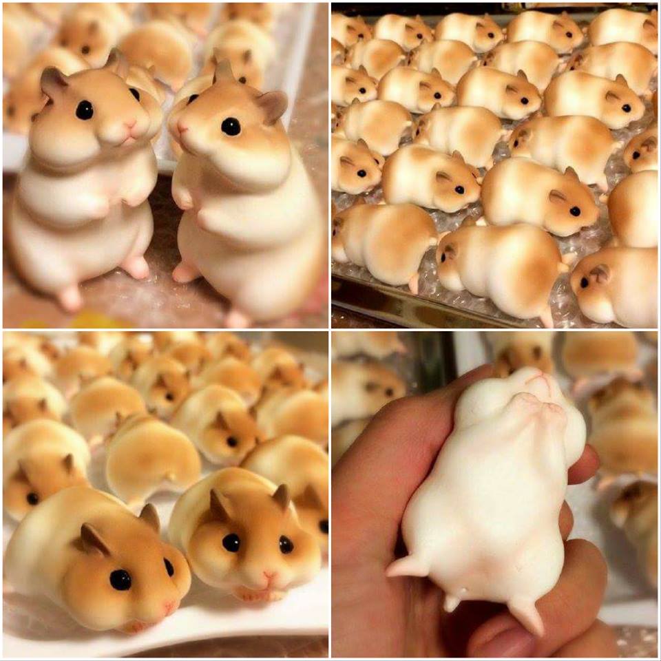 bread hamsters