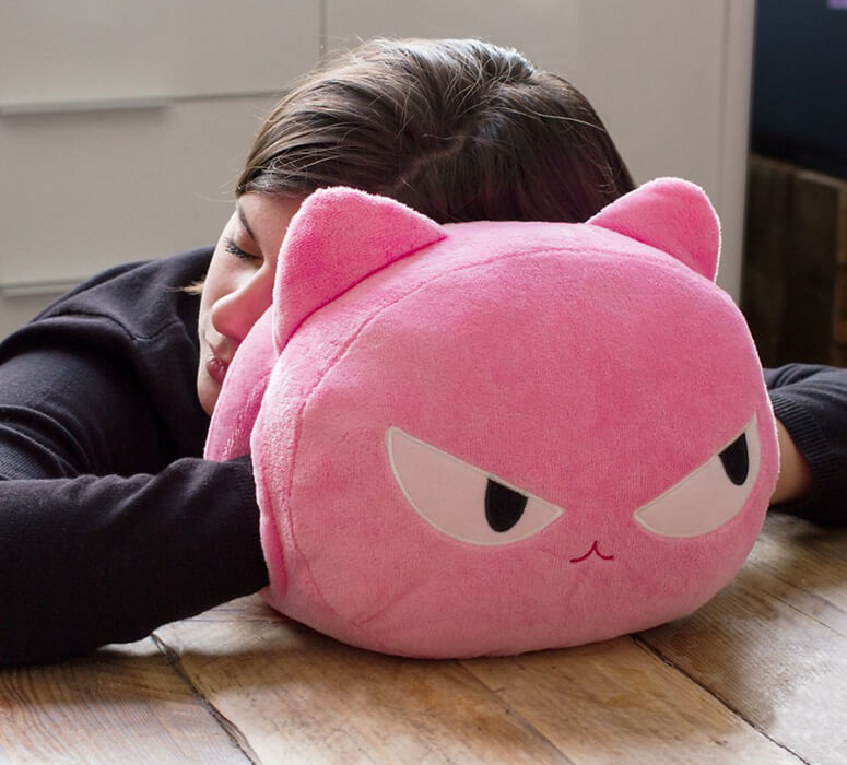 Cat Nap Cushions (1)