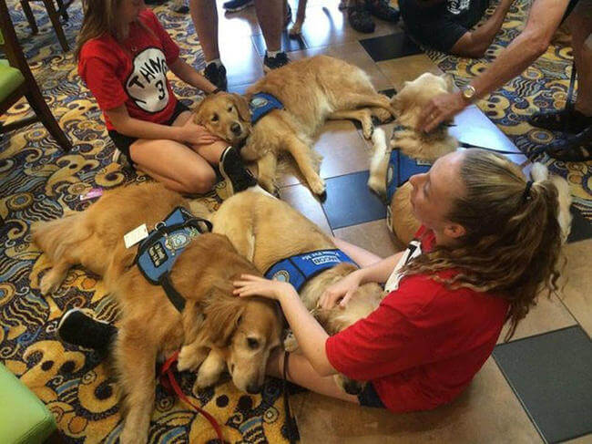 Dogs comfort Orlando shooting victims 4