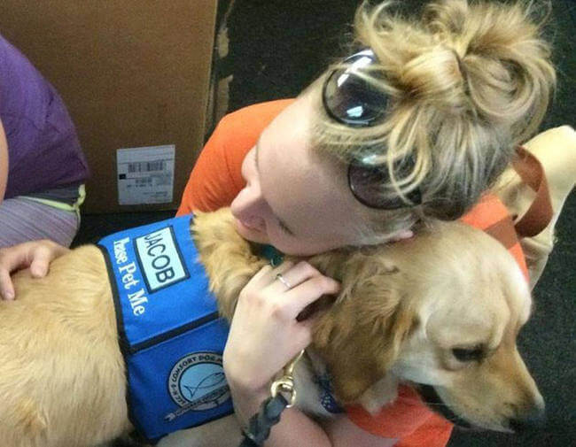 Dogs comfort Orlando shooting victims 5