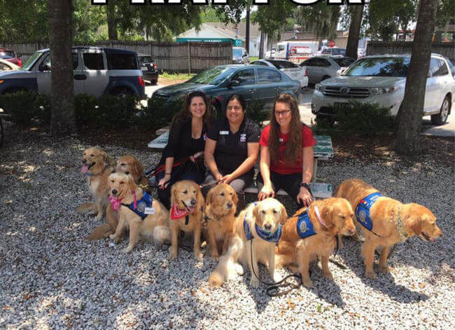 Dogs comfort Orlando shooting victims 6