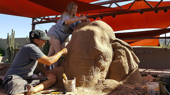 Stunning Sand Sculpture of elephant 7