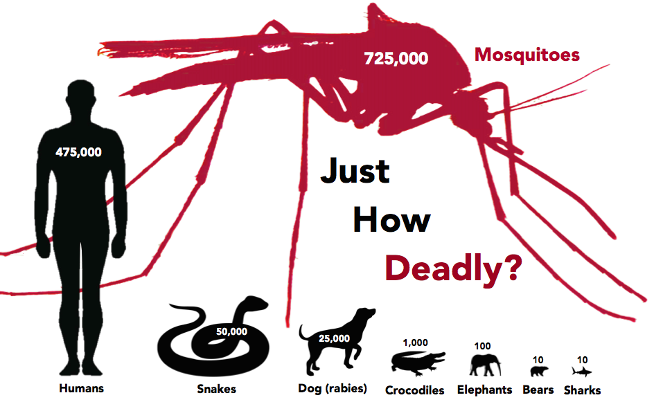 Mosquito Deaths