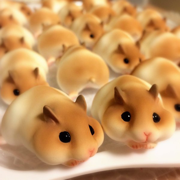 Chinese hamster bread sale