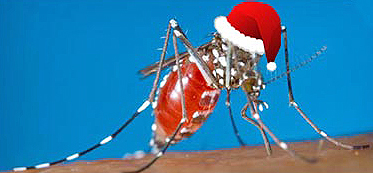 mosquitoes hate winter