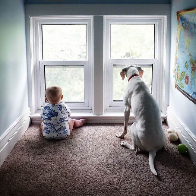 dog and baby nap time 10