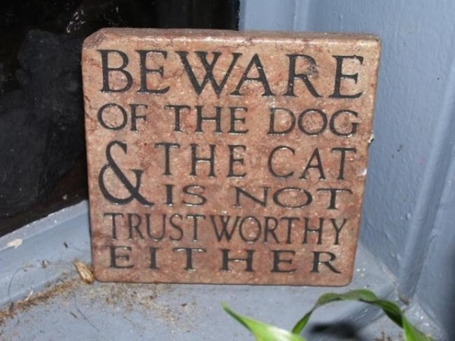 beware of the dog signs - cat is not trustworthy 12