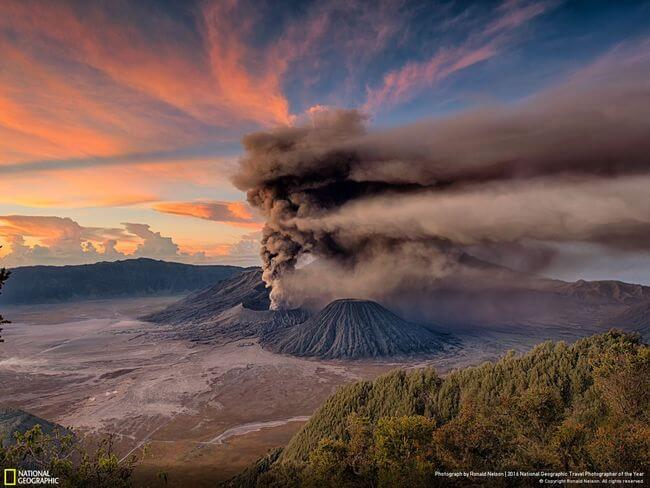 National Geographic Photographer of the year 2016 16