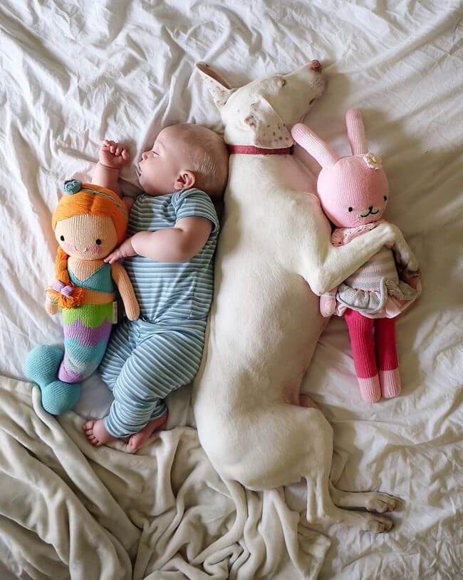 dog and baby nap time 6