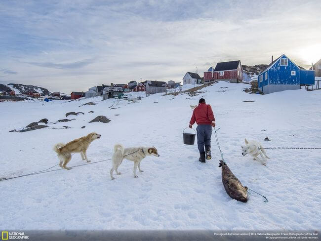 National Geographic Photographer of the year 2016 12