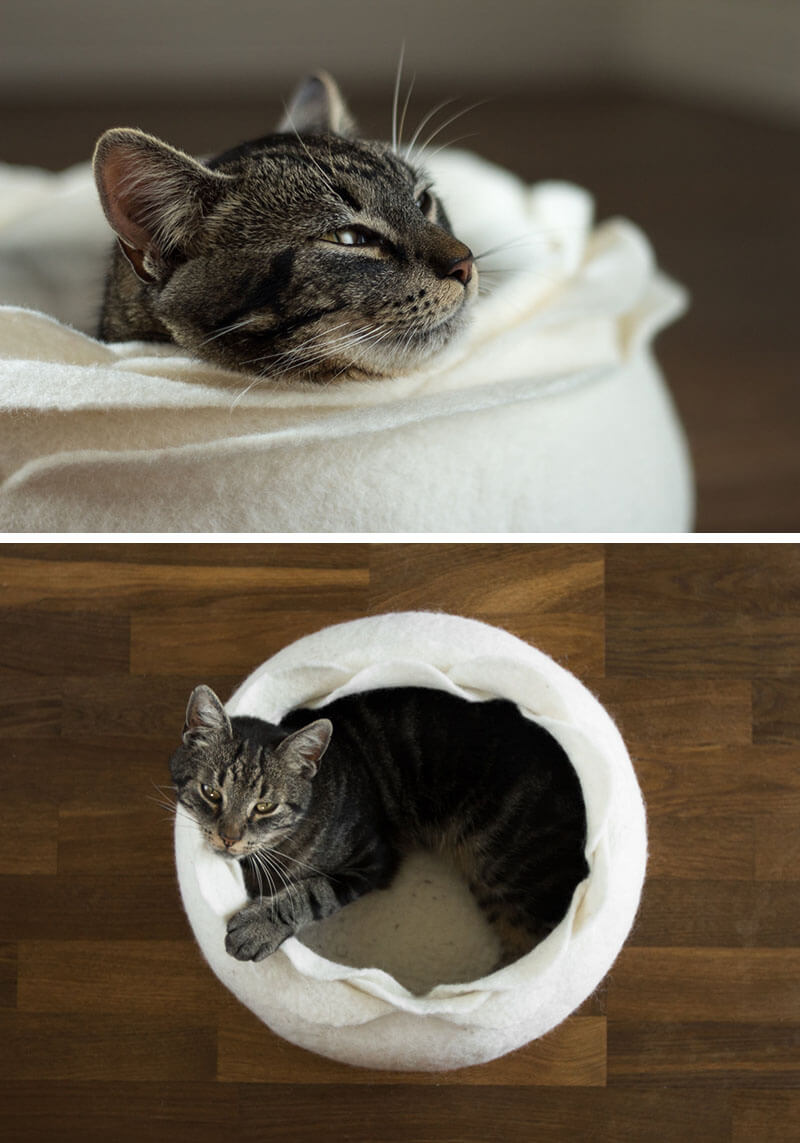 cat beds 6 (1)