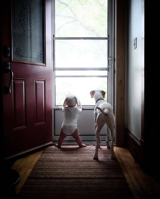 dog and baby nap time 13