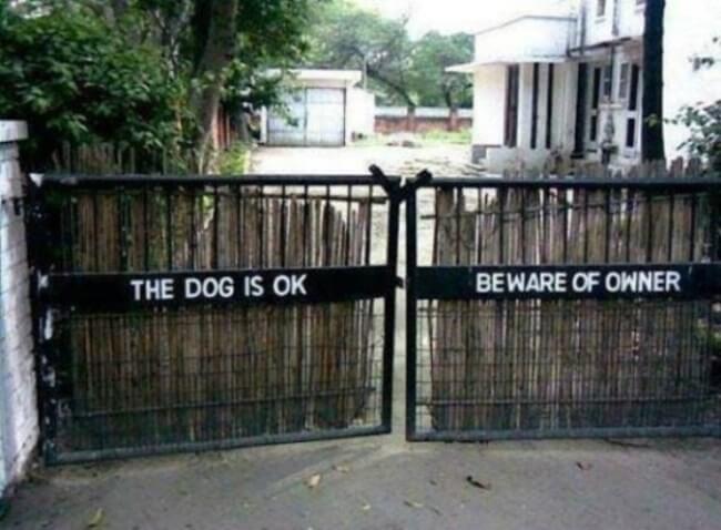 beware of dog - owner is mad