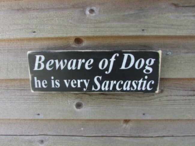 dog signs - sarcastic dog 