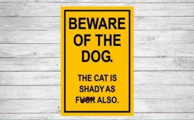 beware of dogs signs - cat is shady 13