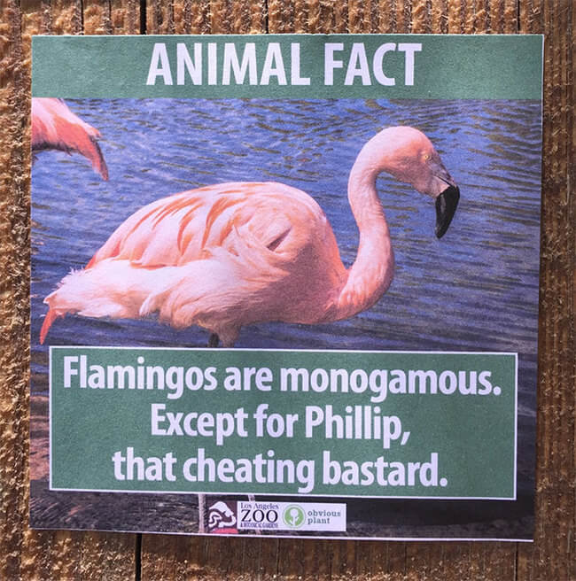 fake animal facts 9