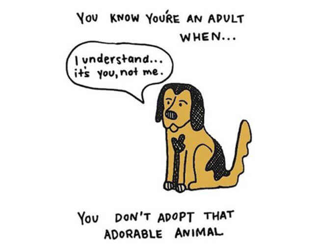 Funny Illustrations show you're An Adult 8