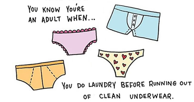 Funny Illustrations show you're An Adult 1