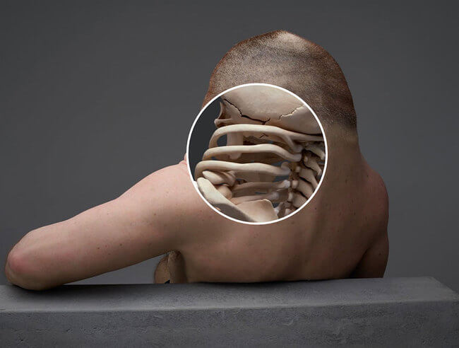 This Is How a Human Would Have To Look To Survive Car Crashes