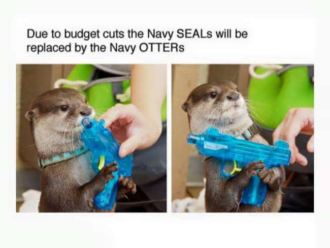 otters 7