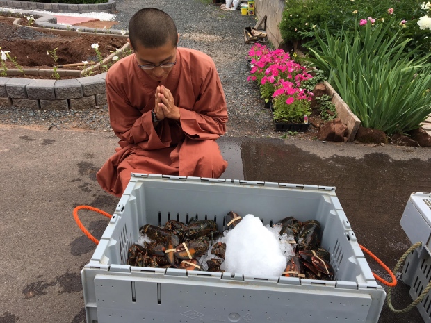 monks buy lobsters and release them in the ocean