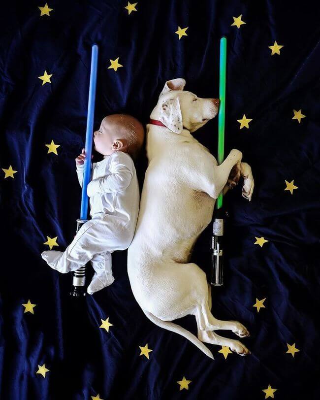 Mom Captures Special Moments Between Rescue Dog And Newborn 17