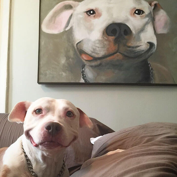 pit bull can't stop smiling 4 (1)