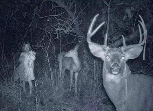 scary pics - girl in woods