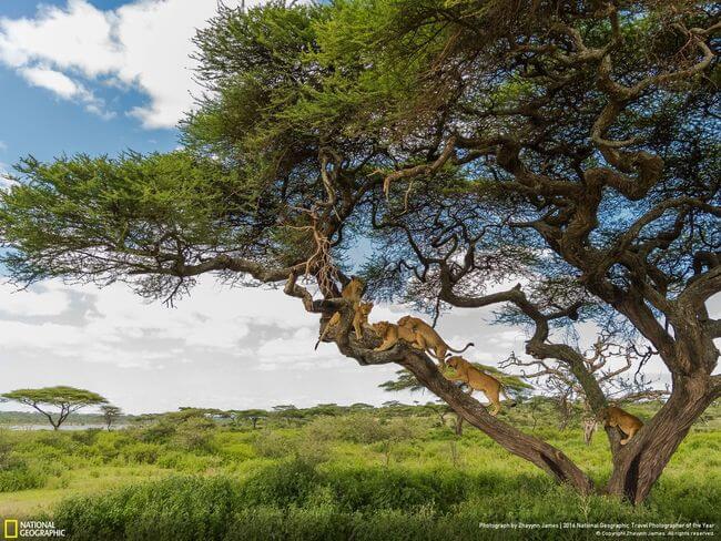 The National Geographic Traveler Photo Contest 41