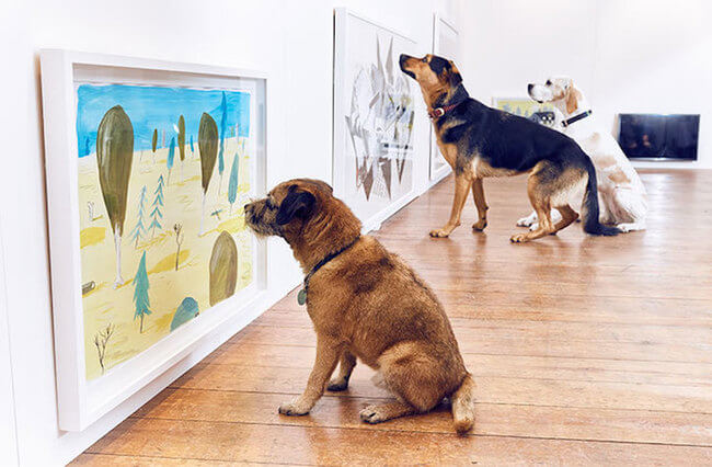 interactive art for dogs 5