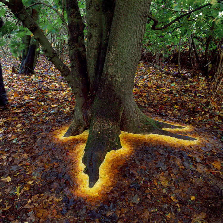 andy goldsworthy art (1)