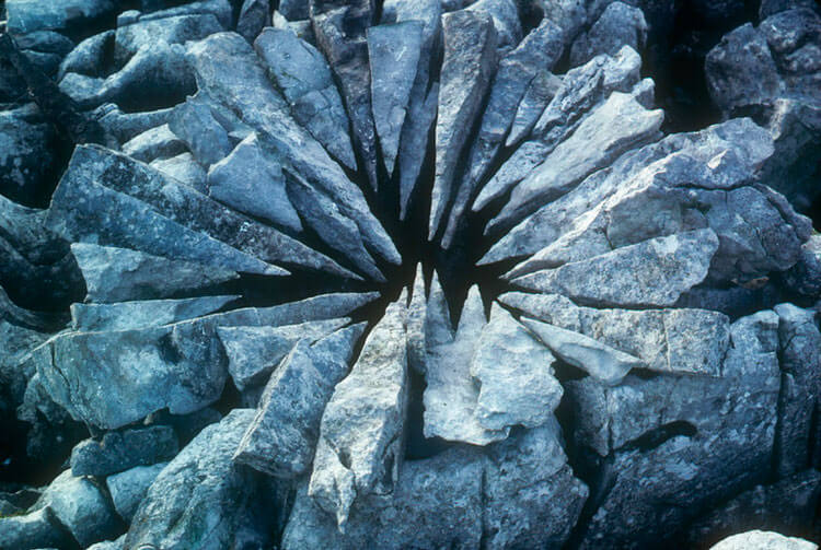 andy goldsworthy art 11 (1)