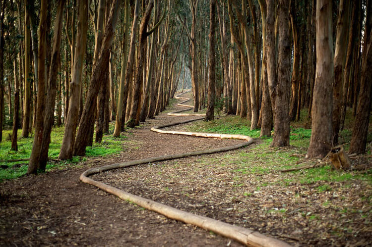 andy goldsworthy art 12 (1)