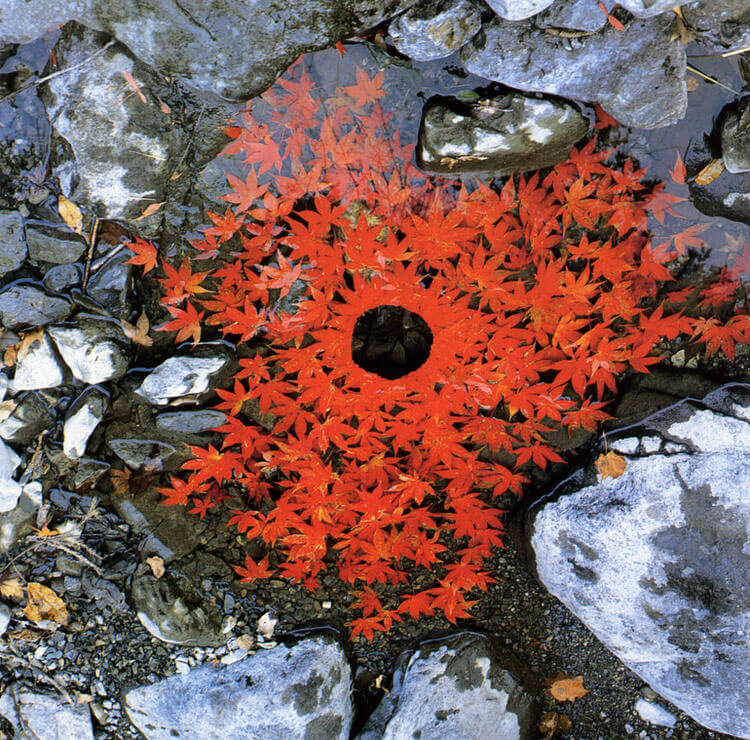 andy goldsworthy art 5 (1)