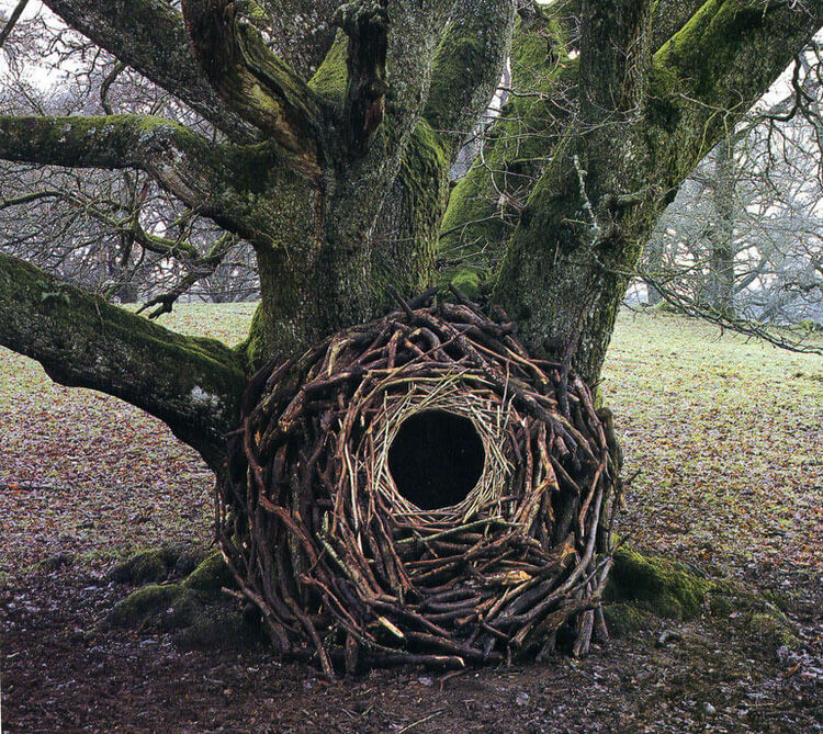 andy goldsworthy art 7 (1)