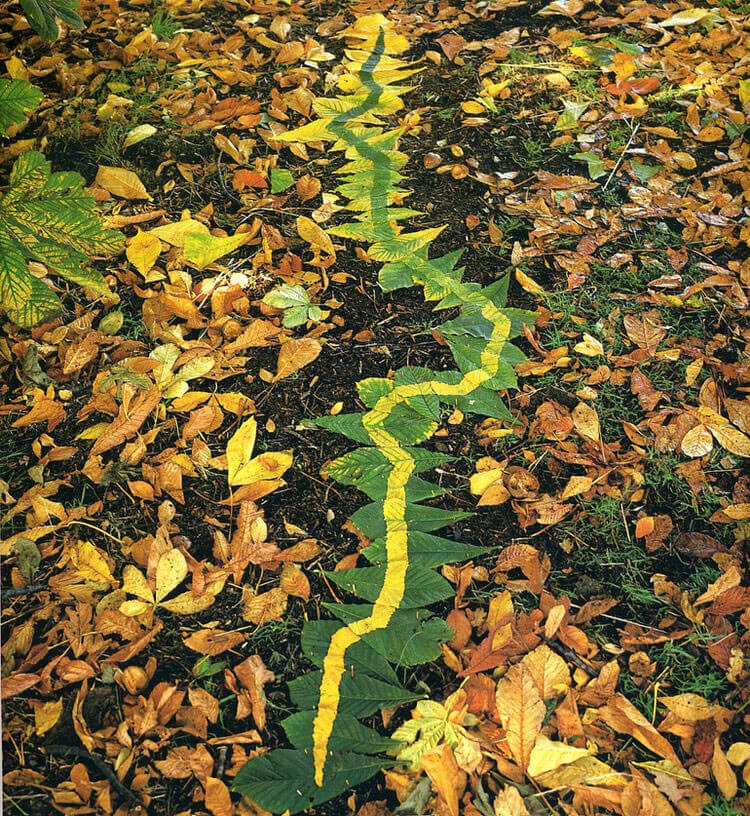 andy goldsworthy art 8 (1)