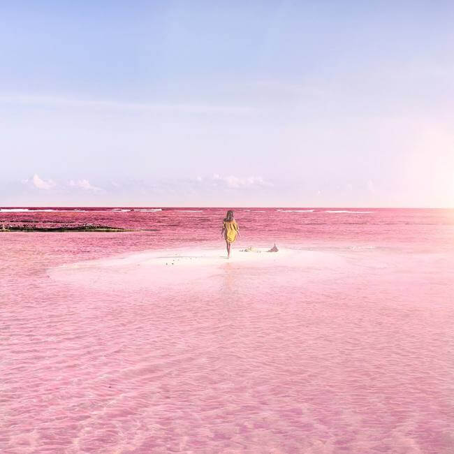 pink lagoon 1