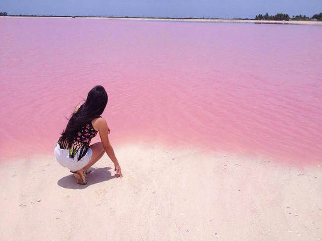 pink lagoon 6