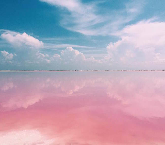 pink lagoon 5
