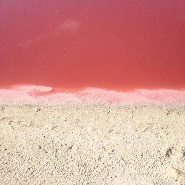 pink lagoon 9