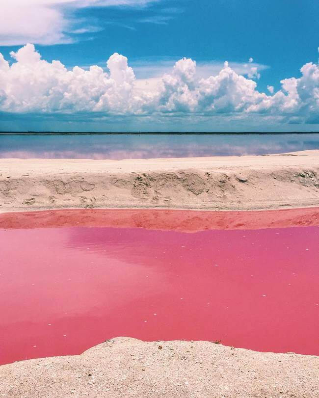 pink lagoon 2
