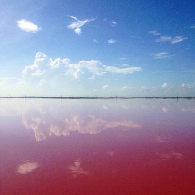 pink lagoon 8