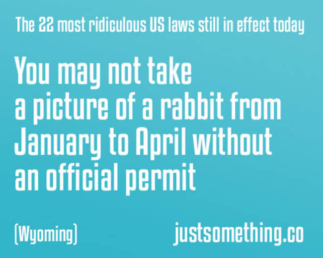 idiotic laws 14